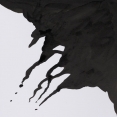 溫莎牛頓色繪墨水WINSOR & NEWTON Drawing Ink