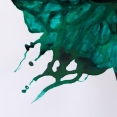 溫莎牛頓色繪墨水WINSOR & NEWTON Drawing Ink