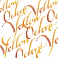 溫莎牛頓英文書法墨水30ml	W&N Calligraphy Ink 30mL