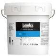 Liquitex Pro 塑膠彩塗底漿Liquitex Professional Acrylic Gesso