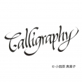 Copic Multiliner 英文書法筆2枝套裝 (CS, CM)Copic Multiliner Calligraphy 2pc Set (CS, CM)