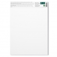 溫莎牛頓Bristol特滑畫簿250克20張WINSOR & NEWTON Bristol Pad 250g 20SH