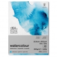 溫莎牛頓水彩畫簿(中紋) 300克12張WINSOR & NEWTON Water Colour (Gummed)Pad Cold Pressed 300g 12SH