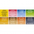 溫莎牛頓COTMAN水彩8色半磚連畫筆套裝 - LandscapeW&N Cotman Watercolour 8Hp Pocket Set - Landscape