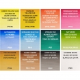 溫莎牛頓COTMAN水彩12色半磚連畫筆套裝W&N Cotman Watercolour 12 Half Pan with Brush Box Set