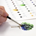 溫莎牛頓專業水彩 Dot CardWinsor & Newton Professional Water Colour Dot Card Colour Chart