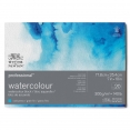 溫莎牛頓專業畫家(中紋)水彩紙 - 300克20張四面封膠WINSOR & NEWTON Professional Cold Pressed Watercolour Block - 300g 20SH