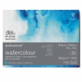 溫莎牛頓專業畫家(中紋)水彩紙 - 300克20張四面封膠WINSOR & NEWTON Professional Cold Pressed Watercolour Block - 300g 20SH