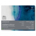 溫莎牛頓專業畫家(粗紋)水彩紙 - 300克20張四面封膠WINSOR & NEWTON Professional Rough Watercolour Block - 300g 20SH