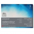 溫莎牛頓專業畫家(幼紋)水彩紙 - 300克20張四面封膠WINSOR & NEWTON Professional Hot Pressed Watercolour Block - 300g 20SH