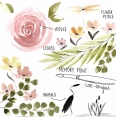 德國KUM MEMORY POINT專業水彩畫筆 - Cat-TongueKUM Brush MEMORY POINT Cat-Tongue
