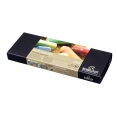 荷蘭林布蘭專業軟粉彩30色(半支裝)Rembrandt Artists' Soft pastels 30 col. Half-Stick Set 