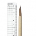 中國書畫毛筆-大狼毫Chinese Painting Bamboo Brushes (大狼毫)